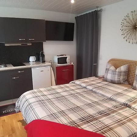 Beau Studio Avec Terrasse Et Vue Exclusivement Pour Non Fumeurs Belmont-sur-Lausanne Екстериор снимка