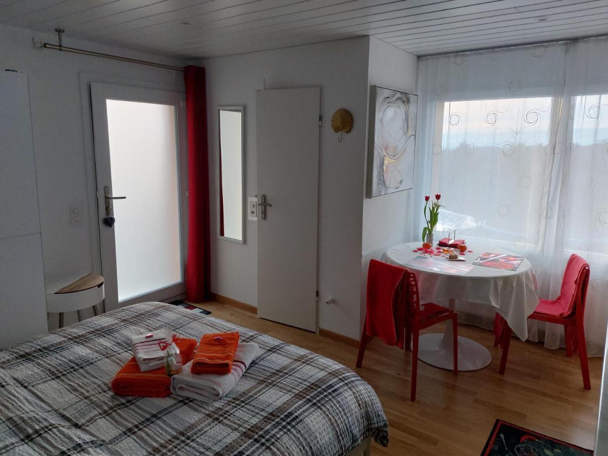 Beau Studio Avec Terrasse Et Vue Exclusivement Pour Non Fumeurs Belmont-sur-Lausanne Екстериор снимка
